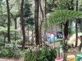 Wisata Camping Ground dan Curug Panjang, Megamendung Kab. Bogor